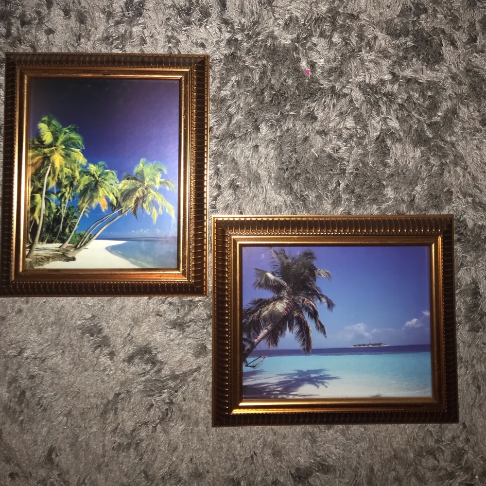 Palm tree beach pictures with frames